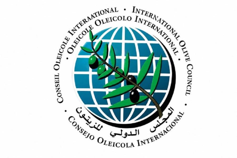 سوريا تتابع إجراءات عودتها للمجلس الدولي للزيتون وسط ترحيب عربي واسع