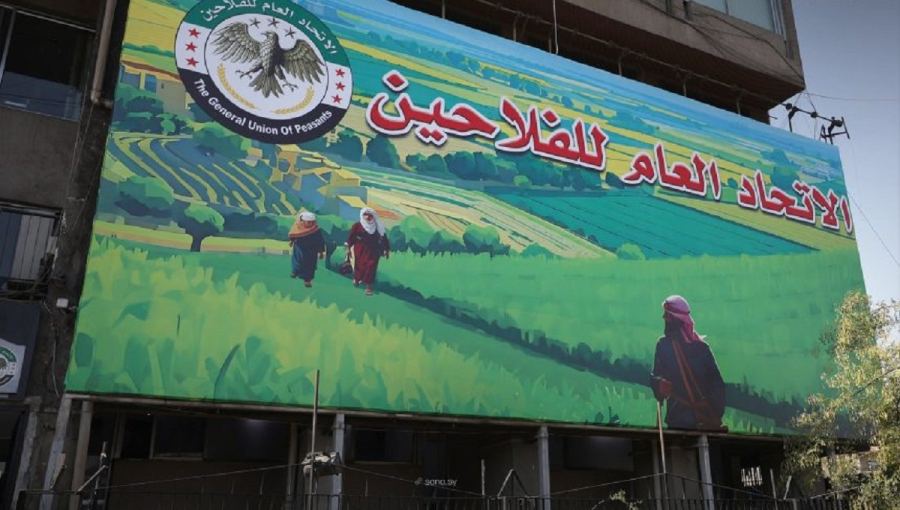 إطلاق 98 تعاونية إنتاجية جديدة في سوريا لدعم القطاع الزراعي والأمن الغذائي حتى عام 2026