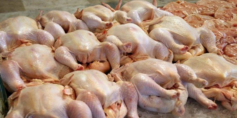 انخفاض أسعار الفروج في دمشق بالتزامن مع تطبيق التأشيرة السعرية