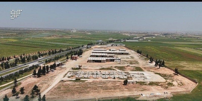 إدلب تستعد لموسم القمح 2027 بمشاريع جديدة لتأهيل الصوامع والمطاحن والمخابز