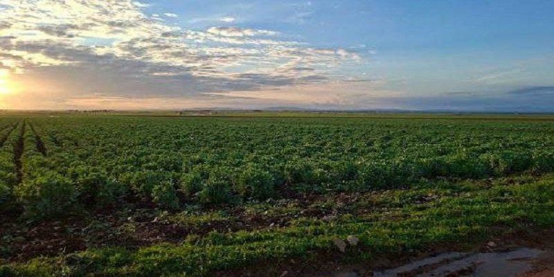 وفد تركي يبحث سبل دعم وتأهيل محطة بحوث الحراج "طاحون الحلاوة" بريف حماة