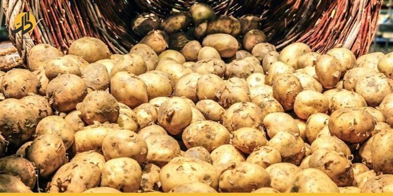 15 ألف طن حجم صادرات الخضار والفواكه السورية إلى الخليج خلال أيلول