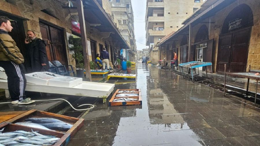 خلاف بين صيادي الأسماك والتجار في طرطوس حول نسبة العمولة وآليات التسويق